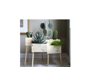  Macetero Cactus