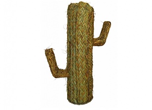  Cactus De Esparto I