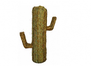  Cactus Esparto Ii